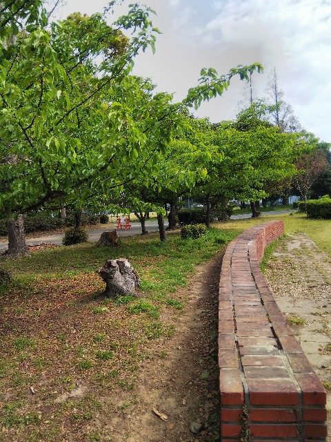 f:id:BlueTech:20210402185450j:plain