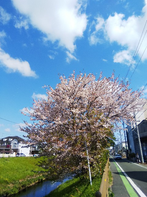 f:id:BlueTech:20210403111457j:plain