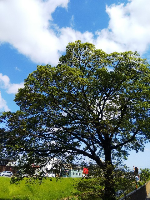 f:id:BlueTech:20210403111754j:plain