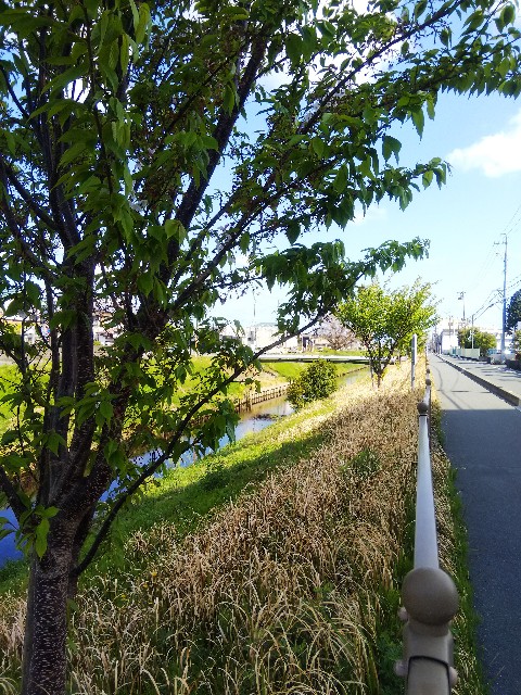 f:id:BlueTech:20210403113120j:plain