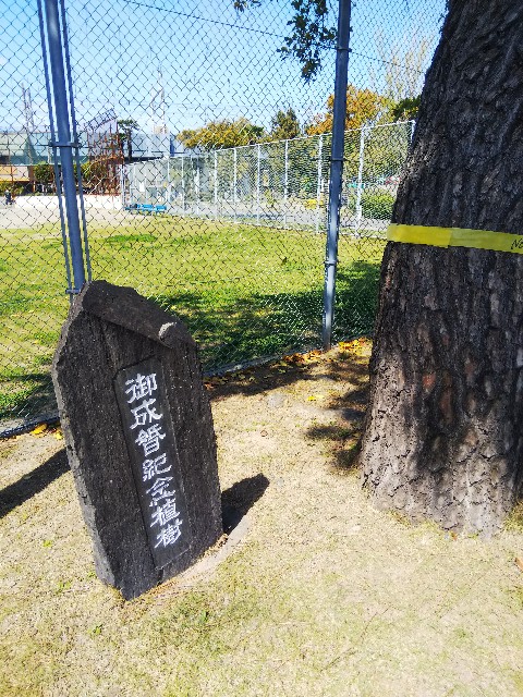 f:id:BlueTech:20210403134814j:plain