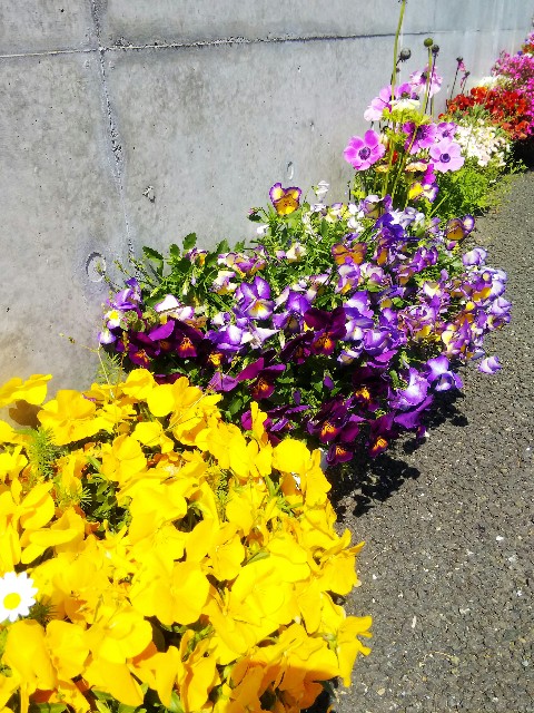 f:id:BlueTech:20210403134858j:plain