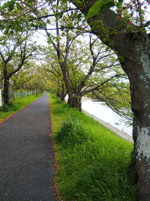 f:id:BlueTech:20210414135622j:plain