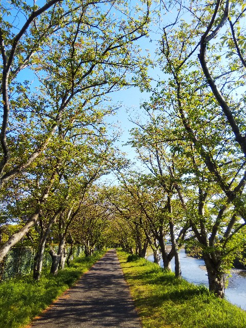 f:id:BlueTech:20210414135632j:plain