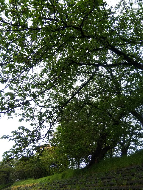 f:id:BlueTech:20210414135727j:plain