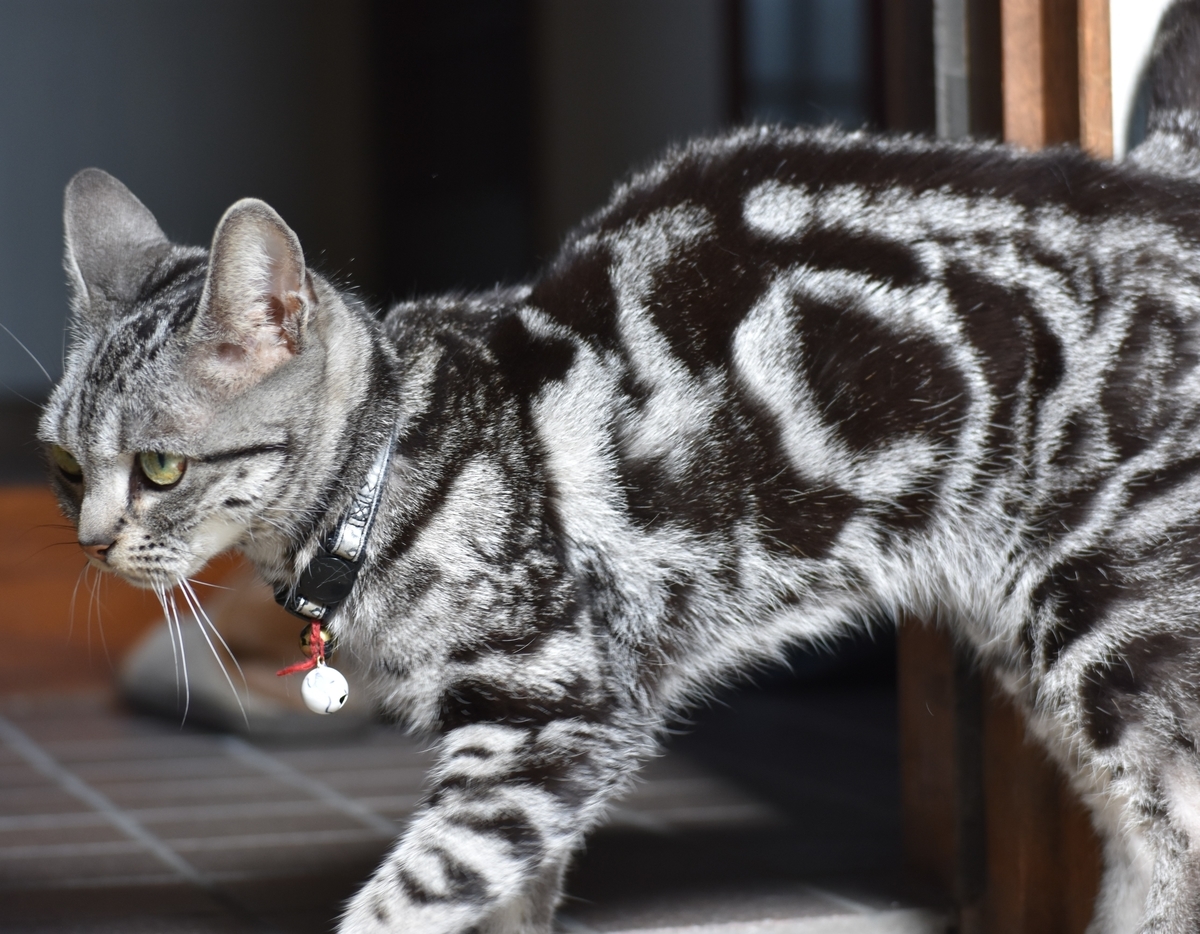 f:id:BlueTech:20210415083645j:plain