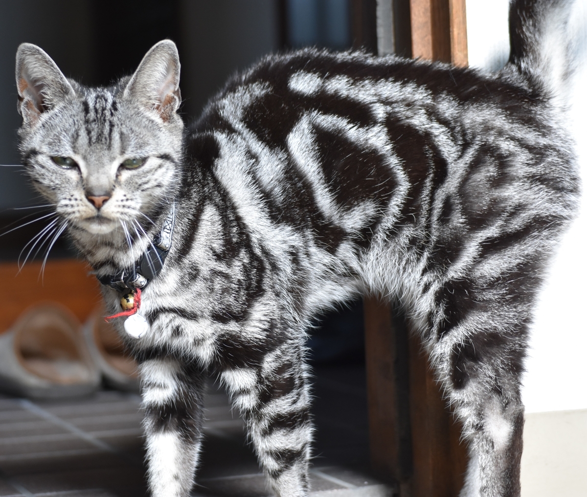 f:id:BlueTech:20210415083651j:plain