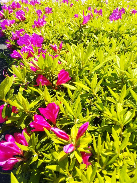 f:id:BlueTech:20210420111829j:plain