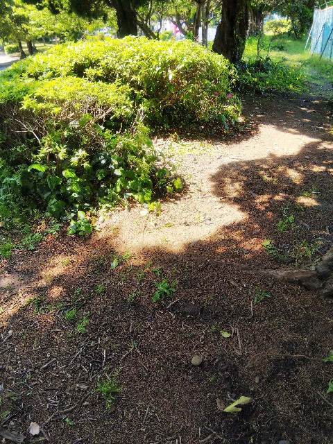 f:id:BlueTech:20210420164204j:plain