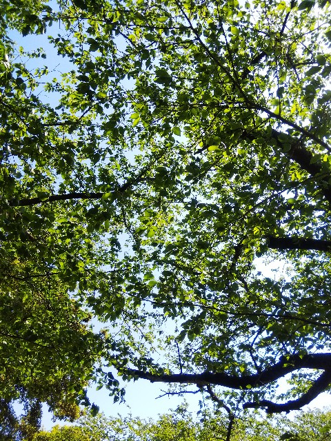 f:id:BlueTech:20210420164223j:plain