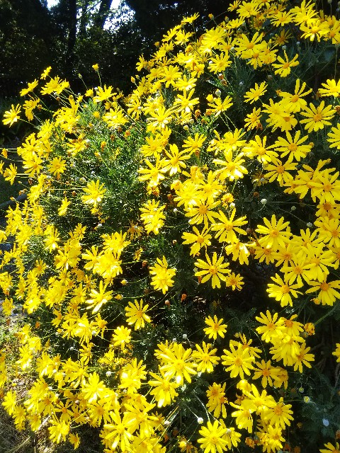 f:id:BlueTech:20210421155630j:plain