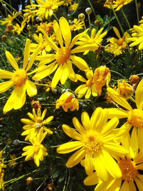 f:id:BlueTech:20210421155636j:plain