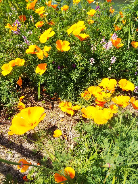 f:id:BlueTech:20210421155644j:plain