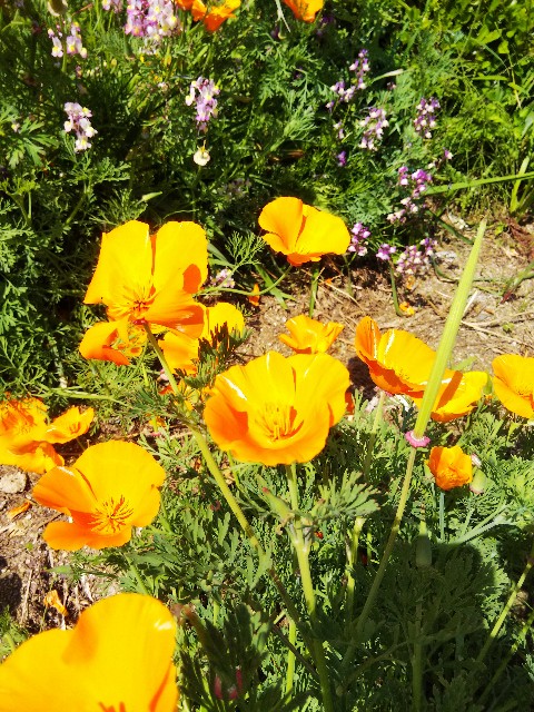 f:id:BlueTech:20210421155651j:plain