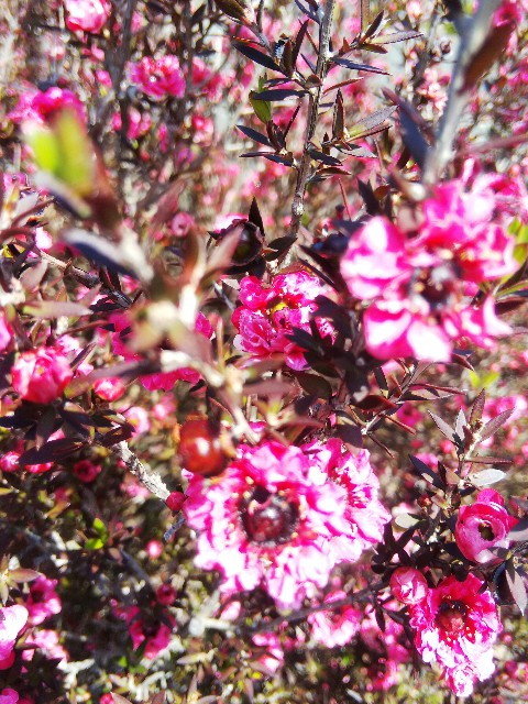 f:id:BlueTech:20210424195510j:plain