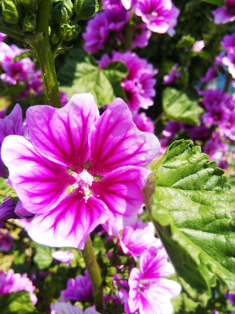 f:id:BlueTech:20210427073824j:plain