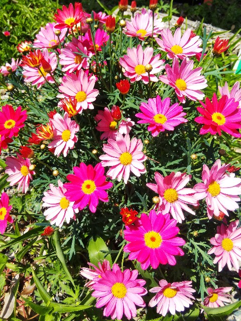 f:id:BlueTech:20210427073833j:plain