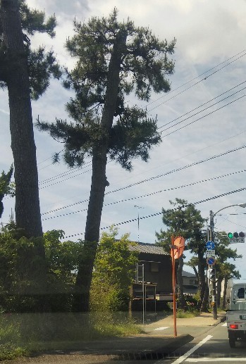 f:id:BlueTech:20210506143200j:plain