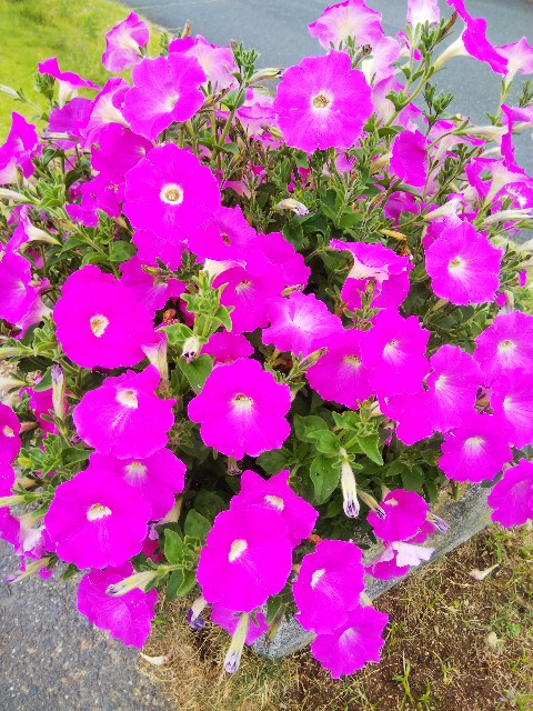 f:id:BlueTech:20210511064222j:plain