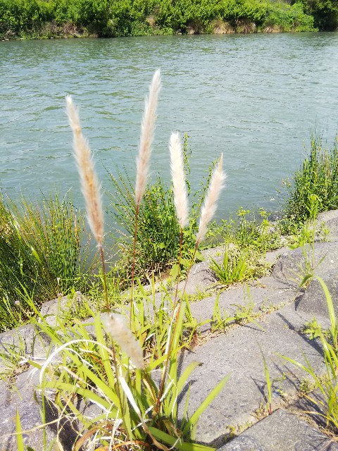 f:id:BlueTech:20210513084937j:plain