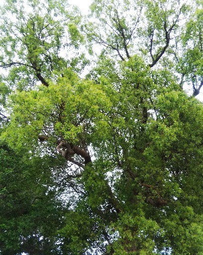 f:id:BlueTech:20210516185822j:plain