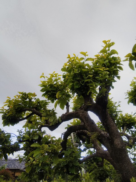 f:id:BlueTech:20210516185834j:plain