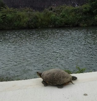 f:id:BlueTech:20210518191358j:plain