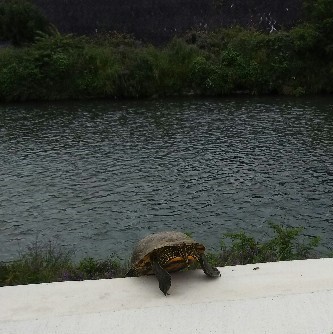 f:id:BlueTech:20210518191407j:plain