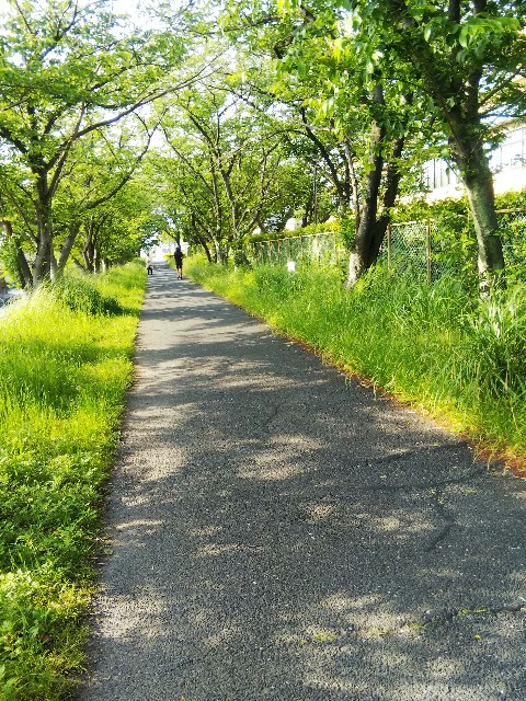 f:id:BlueTech:20210519081756j:plain