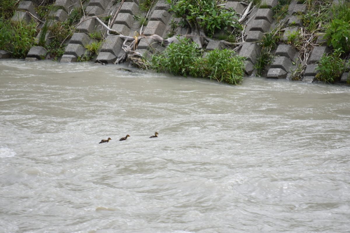 f:id:BlueTech:20210526145128j:plain