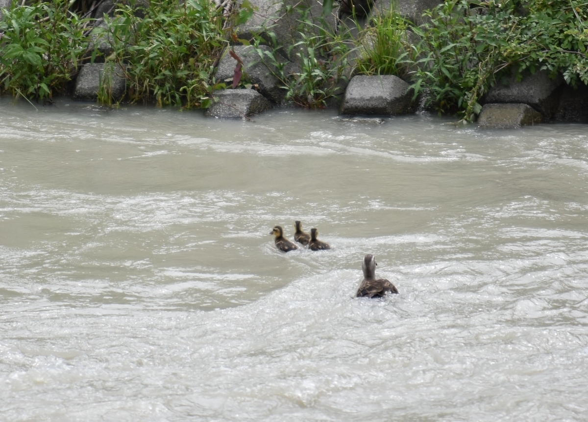 f:id:BlueTech:20210526145132j:plain