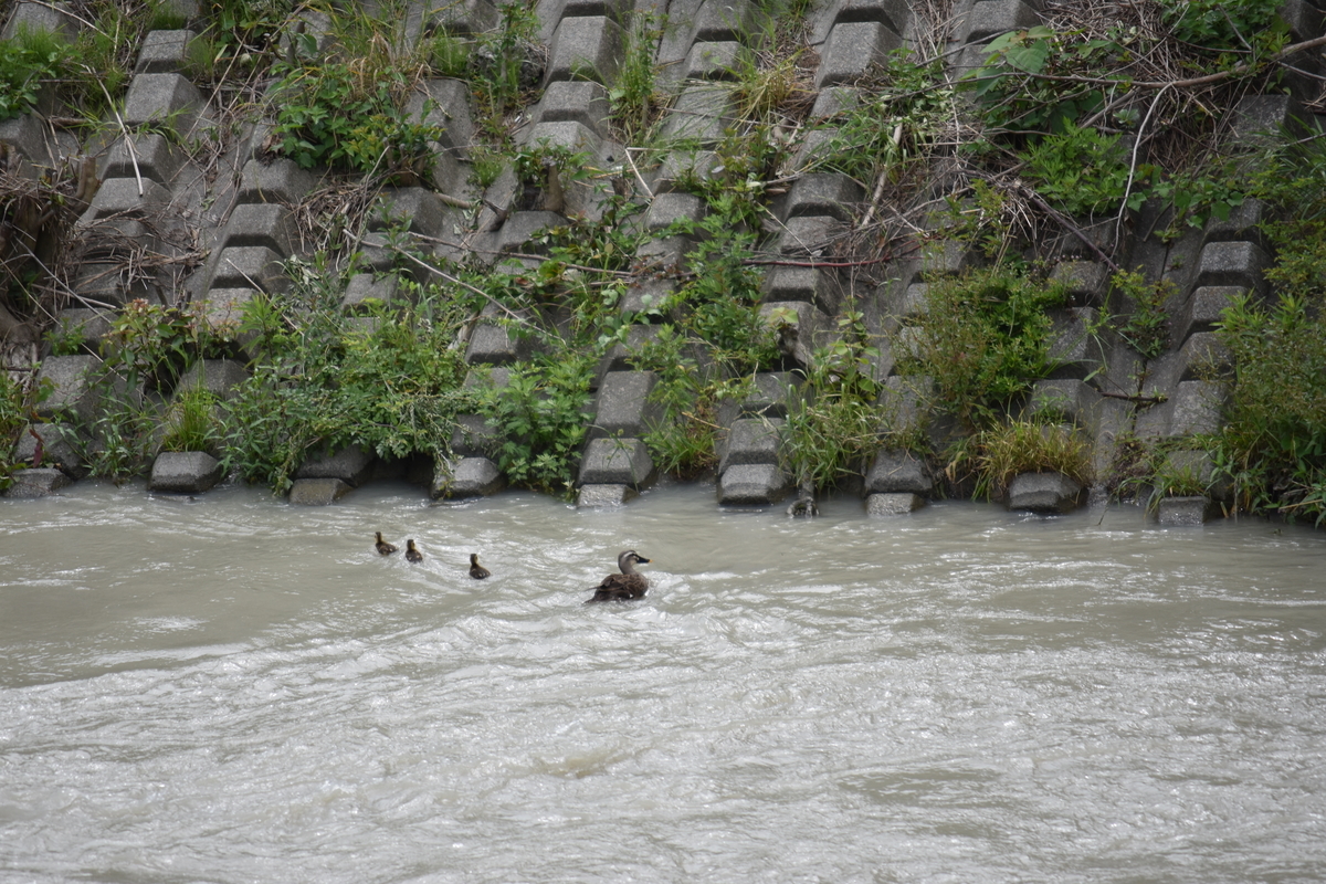 f:id:BlueTech:20210526145138j:plain