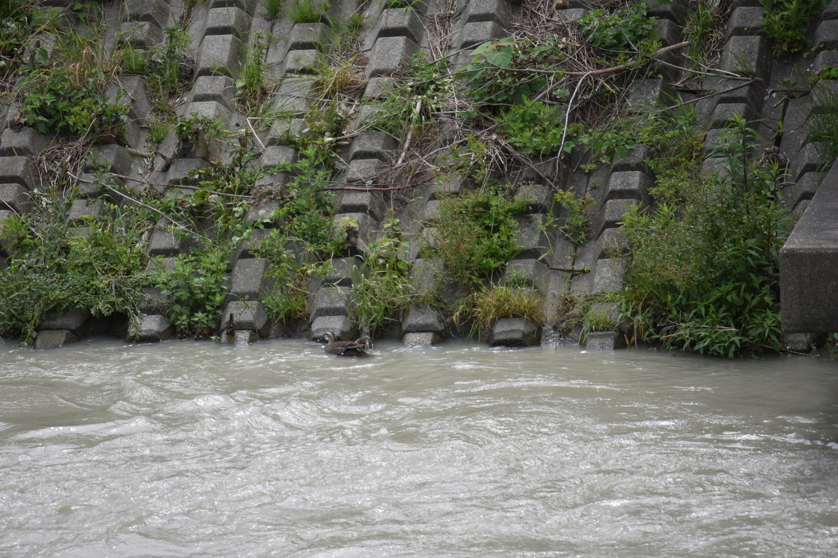 f:id:BlueTech:20210526145149j:plain