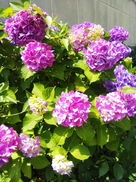 f:id:BlueTech:20210604084546j:plain