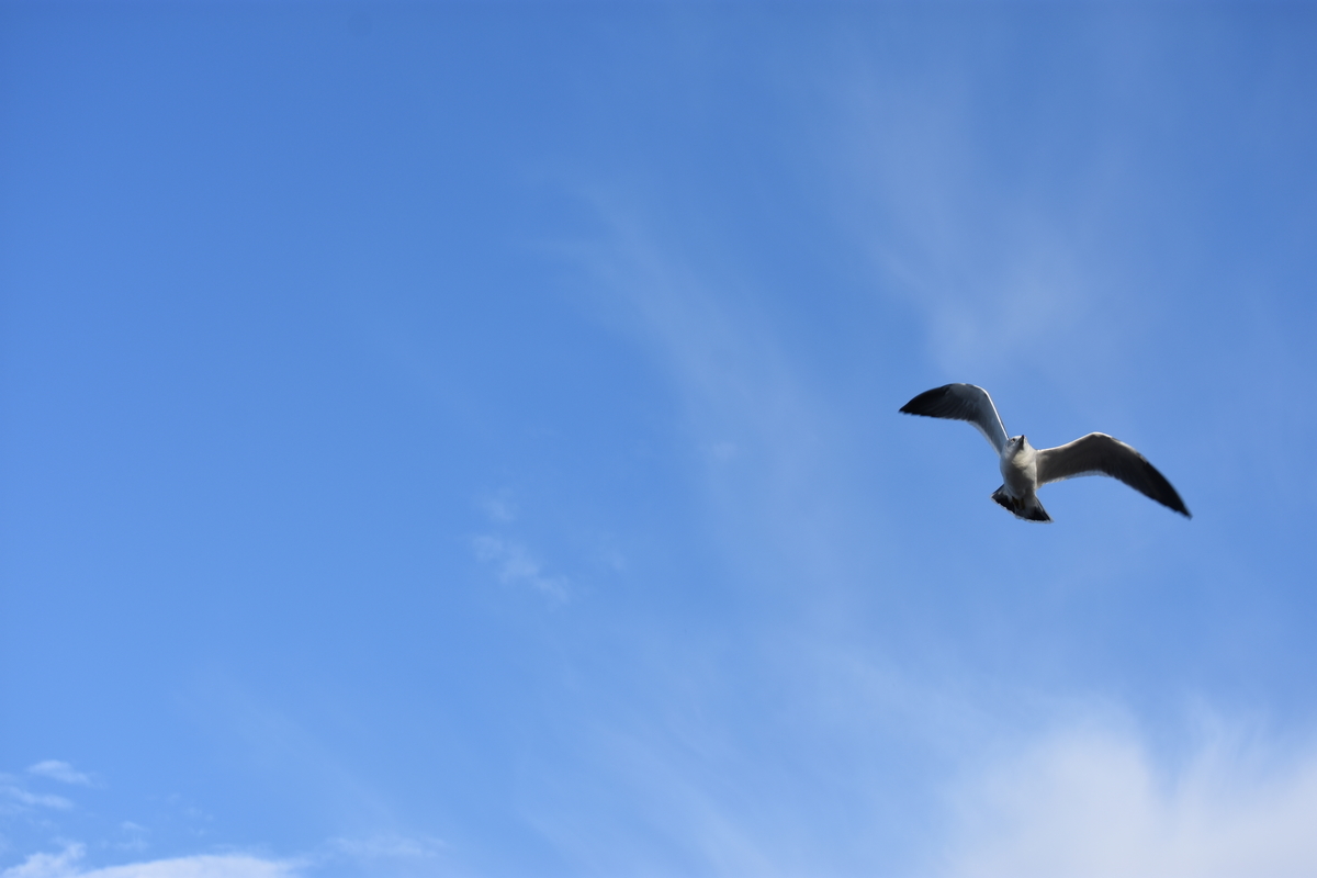 f:id:BlueTech:20210704082359j:plain