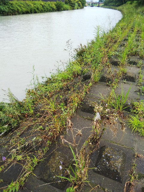 f:id:BlueTech:20210709074227j:plain