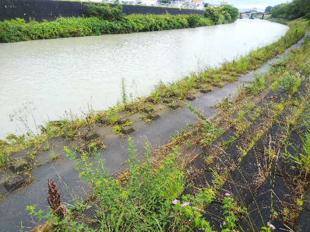 f:id:BlueTech:20210709074232j:plain