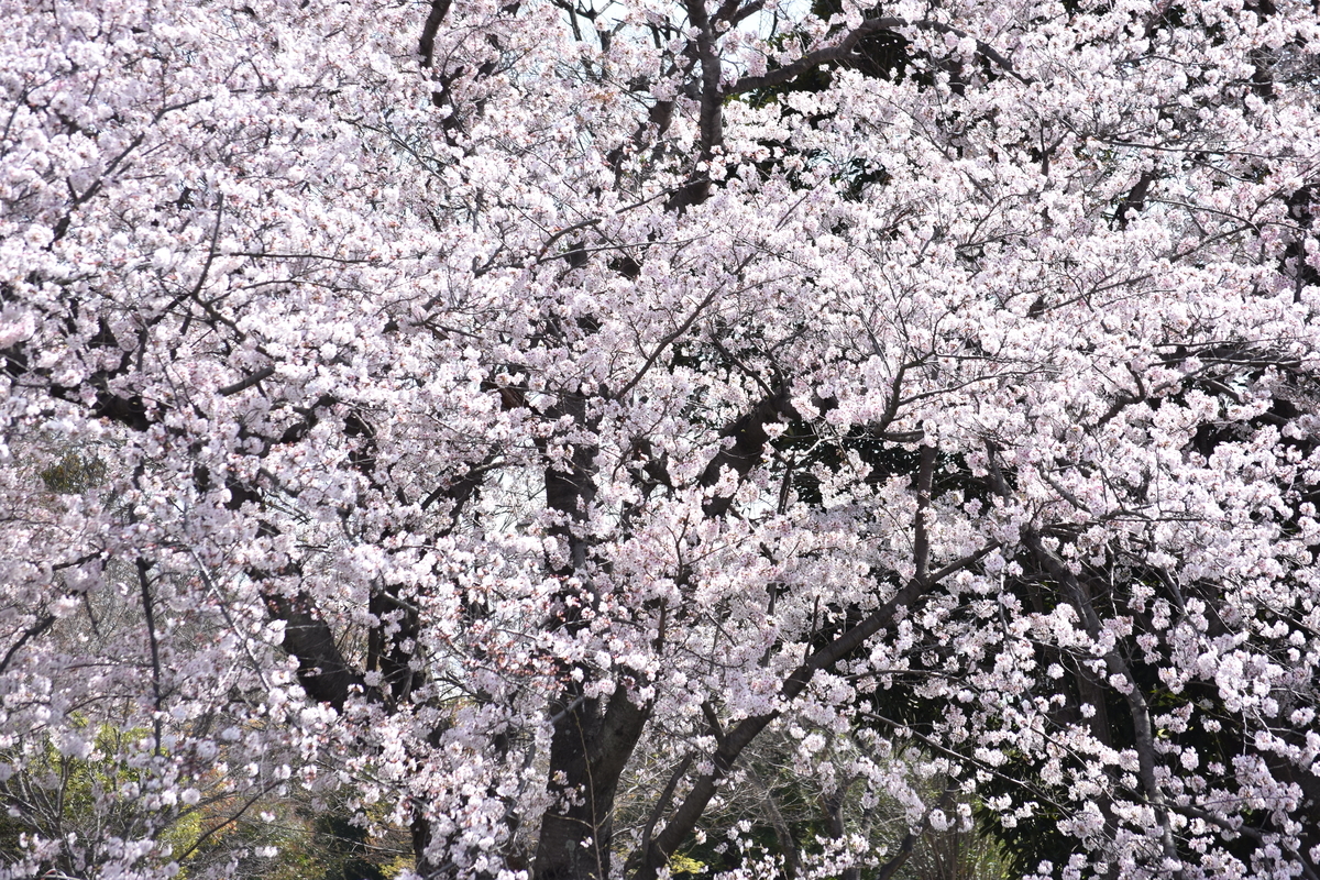 f:id:BlueTech:20220418143858j:plain