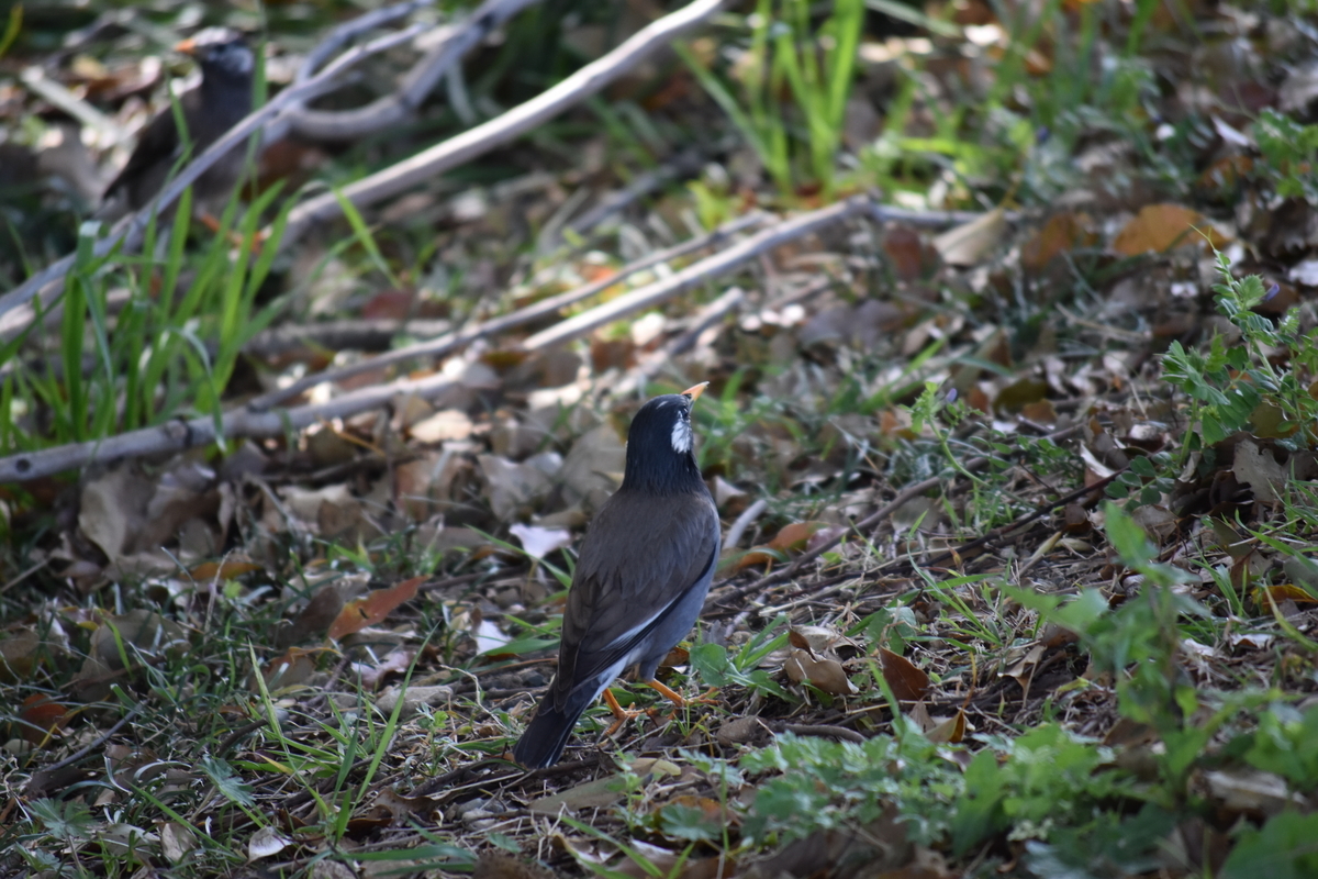 f:id:BlueTech:20220418144508j:plain