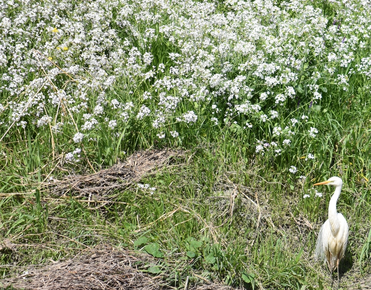 f:id:BlueTech:20220418144701j:plain