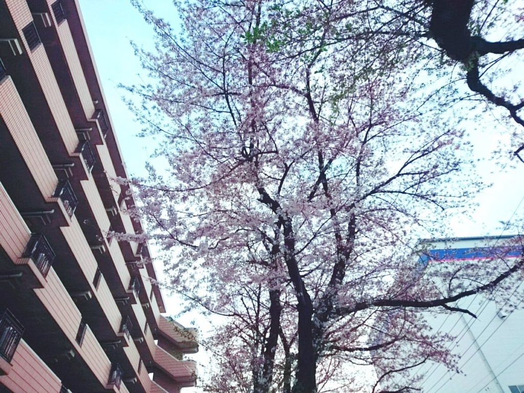 f:id:Blue_Bear:20180401212046j:plain f:id:Blue_Bear:20180401212046j:plain