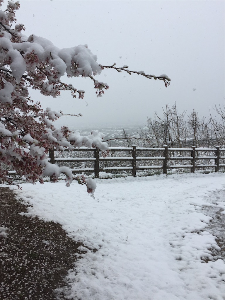 f:id:Blue_Sky_Blue:20190410211002j:image