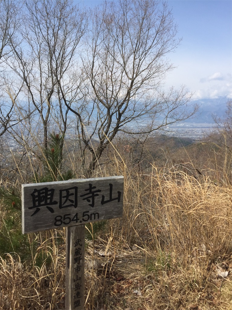 f:id:Blue_Sky_Blue:20190415143509j:image