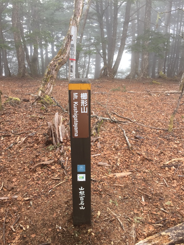 f:id:Blue_Sky_Blue:20190506180113j:image