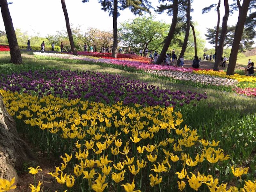 f:id:Blue_Sky_Blue:20190506200458j:image