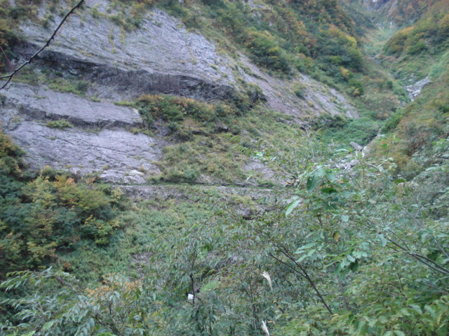 f:id:Blue_Sky_Blue:20211124202736j:plain