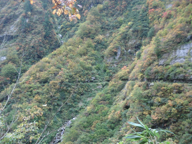f:id:Blue_Sky_Blue:20211124202741j:plain