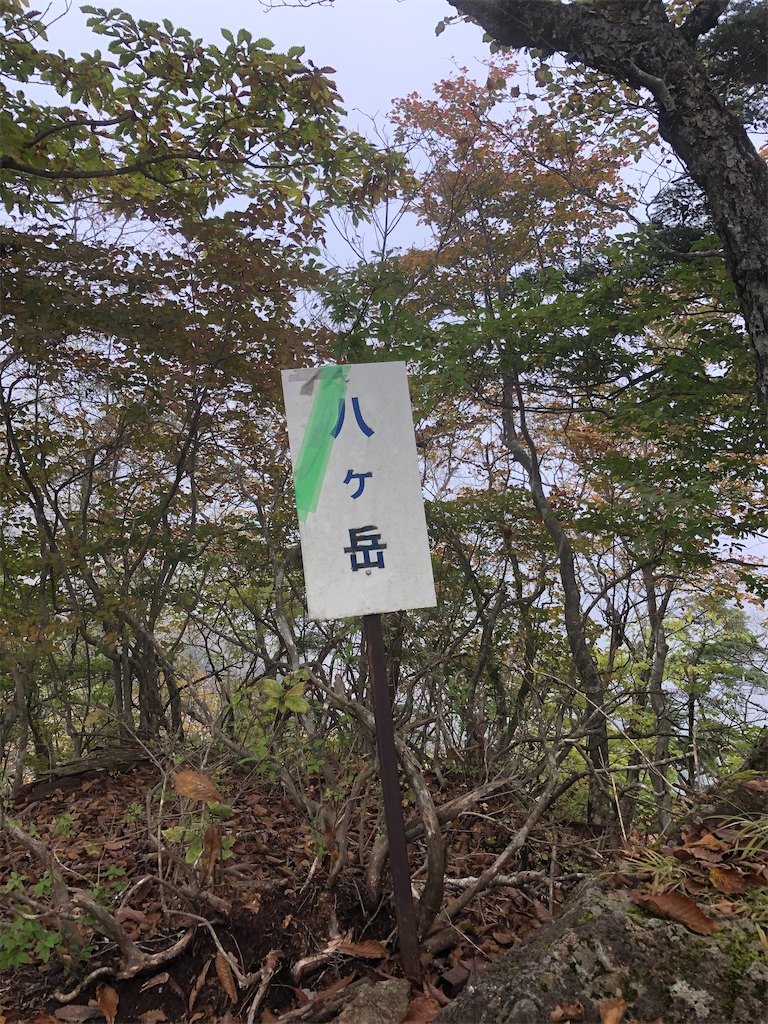 f:id:Blue_Sky_Blue:20211127201413j:image