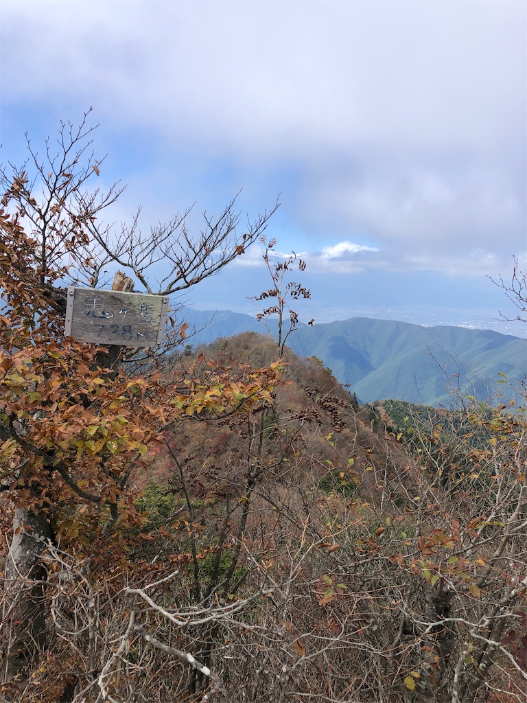 f:id:Blue_Sky_Blue:20211127201426j:image