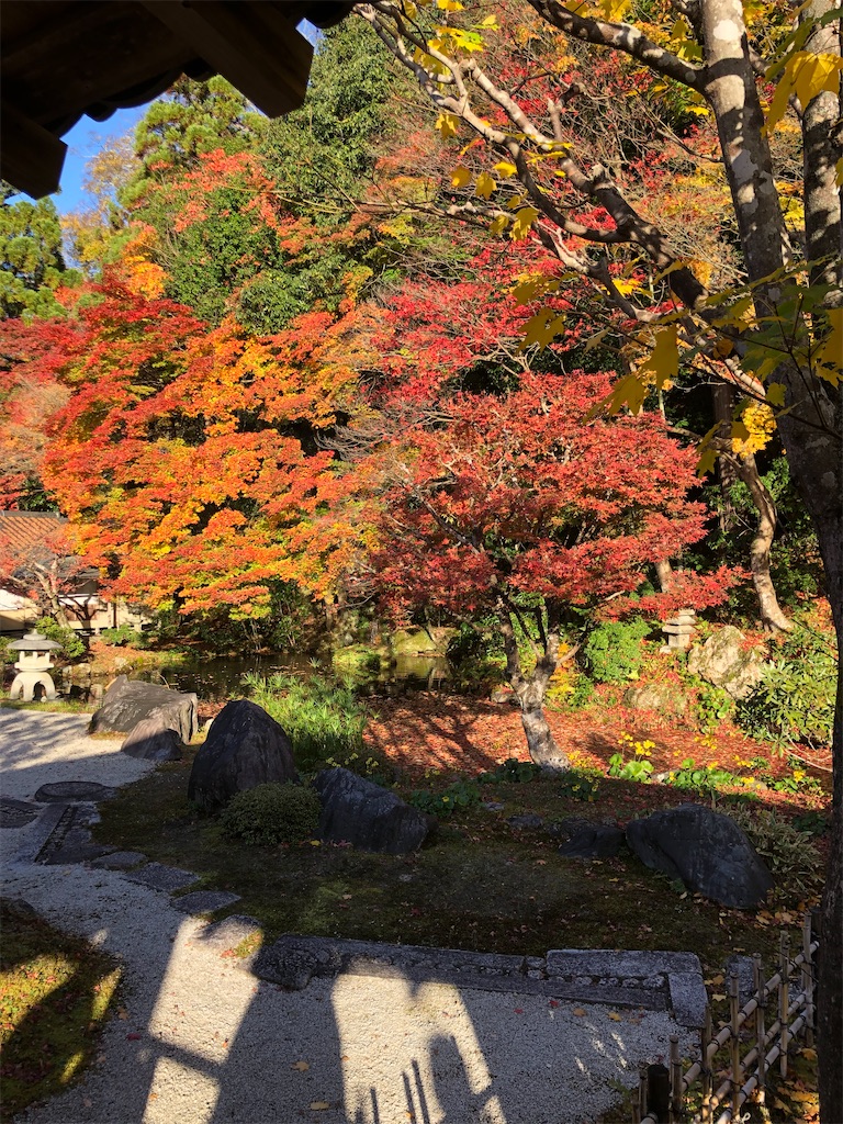 f:id:Blue_Sky_Blue:20211127202256j:image